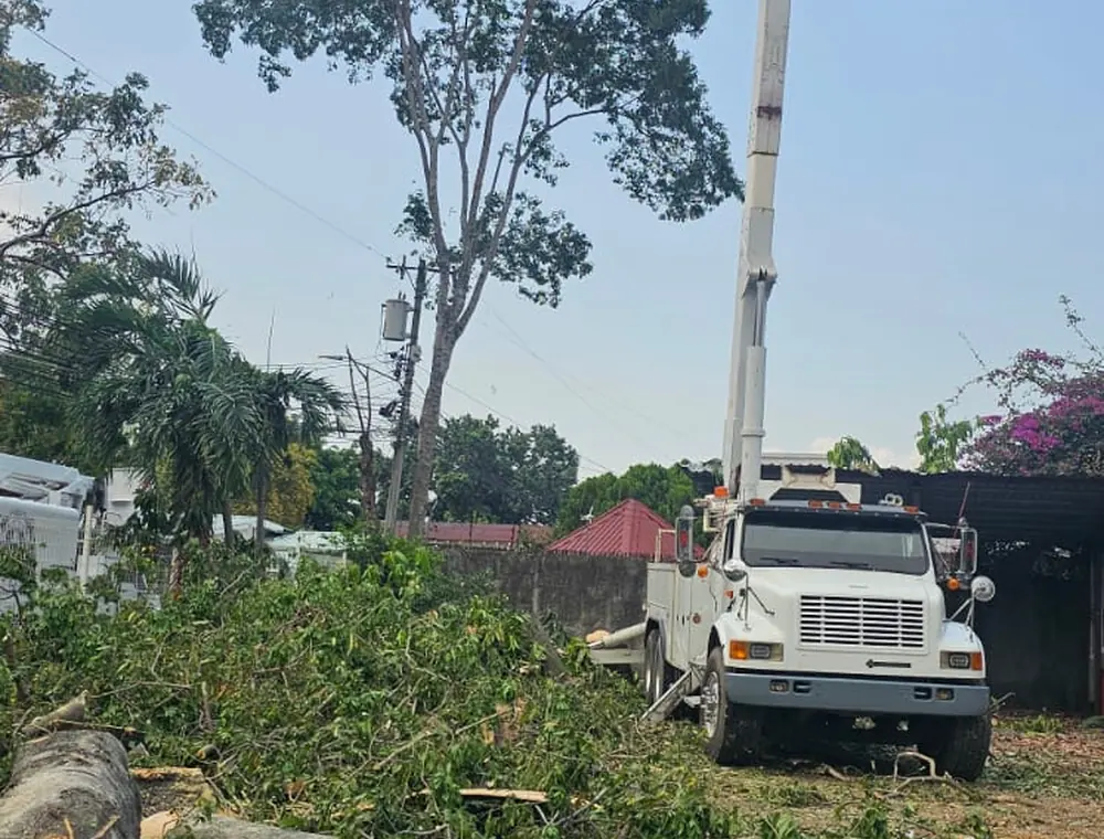 Camión canasta y chipeadora estacionados, listos para el trabajo